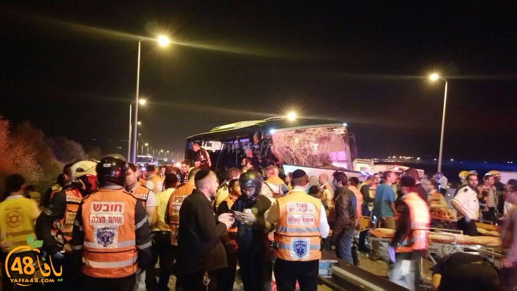 Accjs latroona (9).jpg